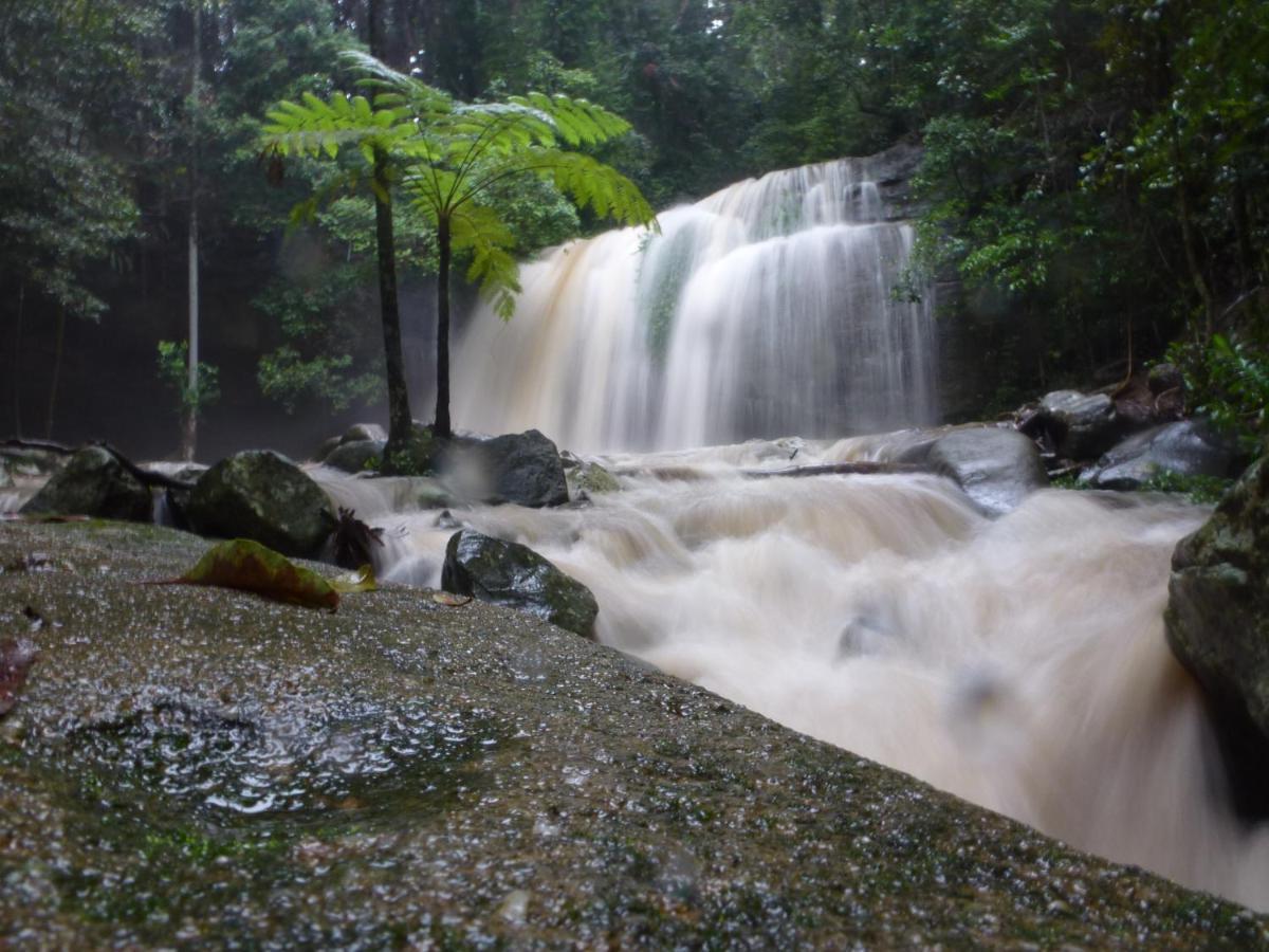 Buderim Forest Hideaway Exterior foto